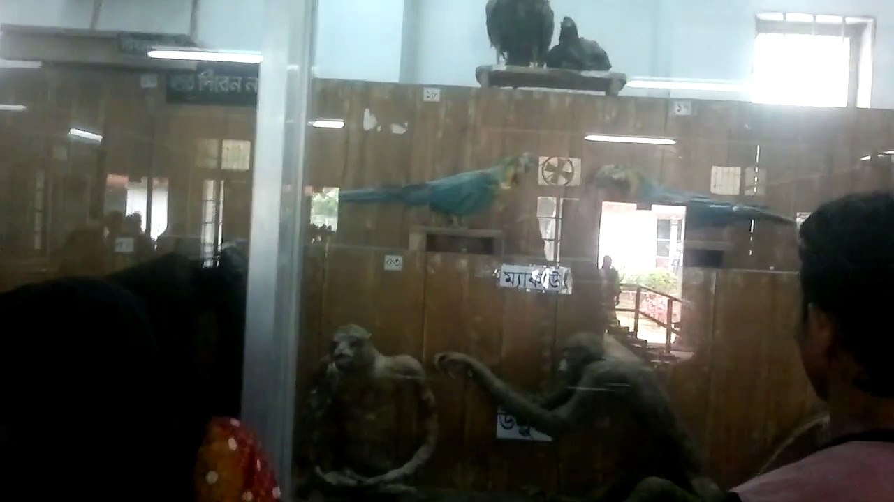 DHAKA ZOO INSIDE