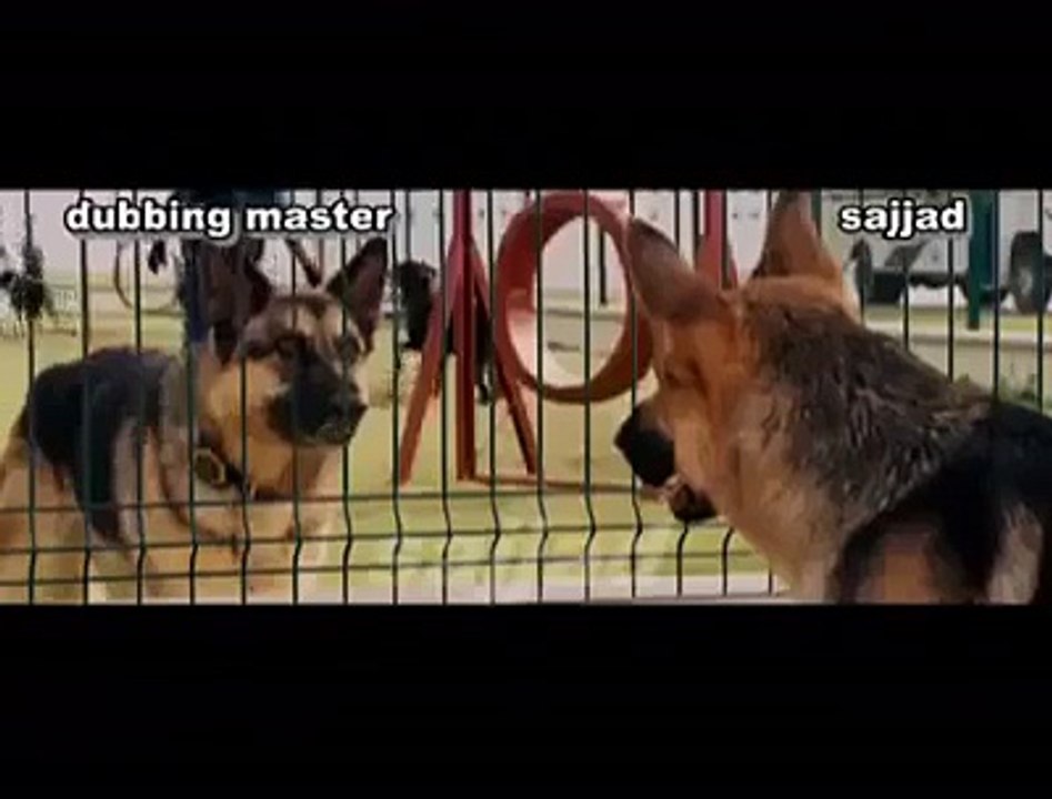 Just For Laugh