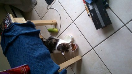 No affraid about cucumber