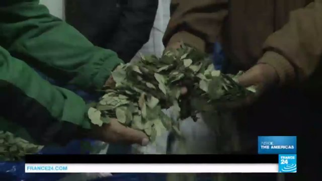 Bolivia coca farming: facing Washington threats, resistance is growing