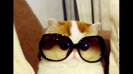 marmalade reflections of my life cover test