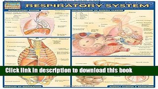 [Popular Books] Respiratory System Free Online