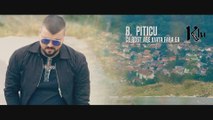 B.Piticu - Ce rost are viata fara ea ( Oficial Video )