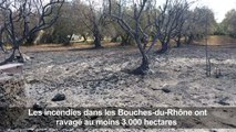 Bouches-du-Rhône: Vitrolles touchée par les incendies