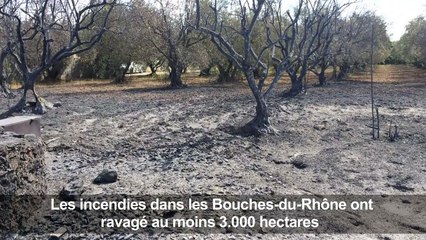 Bouches-du-Rhône: Vitrolles touchée par les incendies