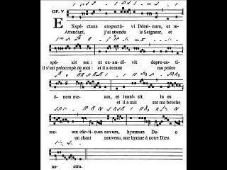 Offertorium Exspectans exspectavi, Dominica XXI TpA (21è TO)