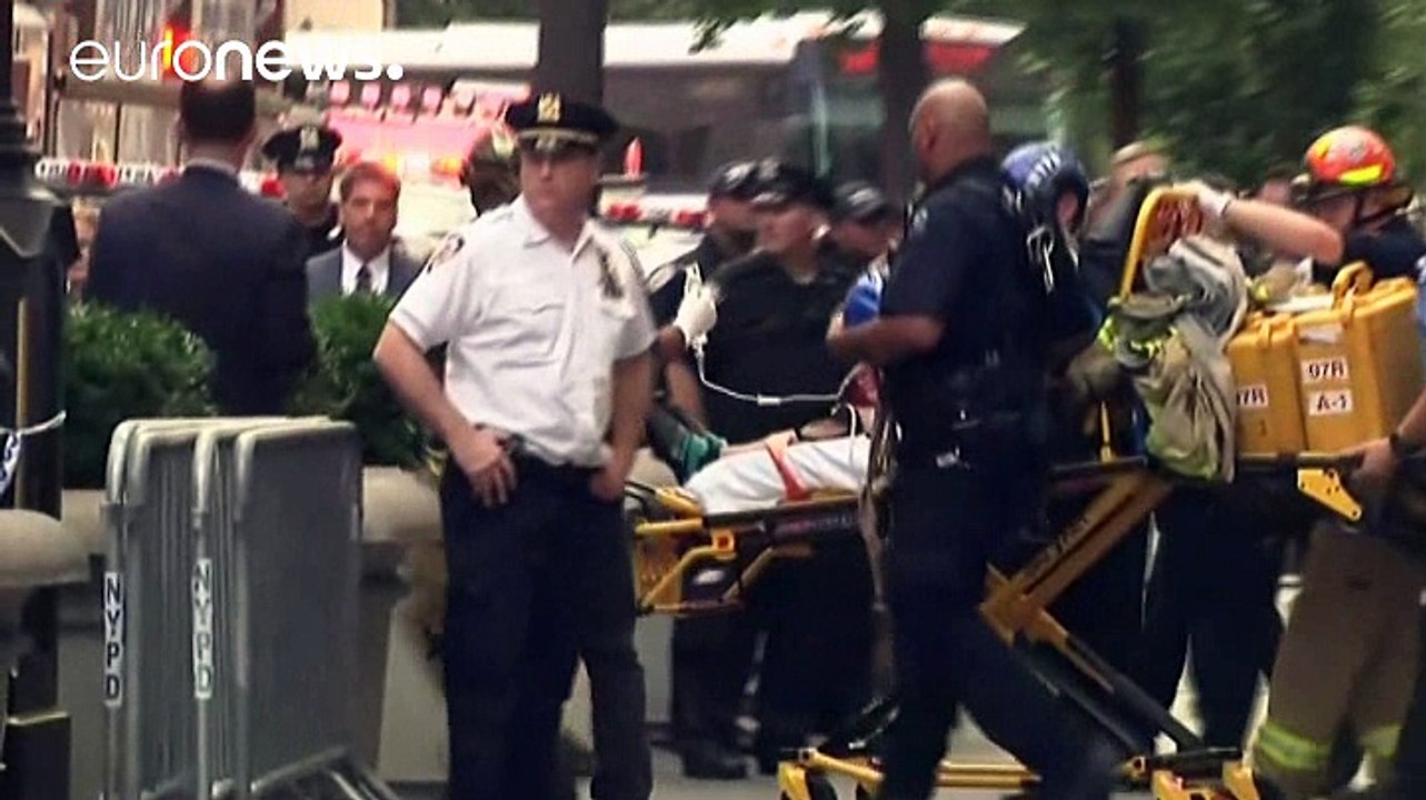 Man climbing Trump Tower in New York using suction pads is captured by police
