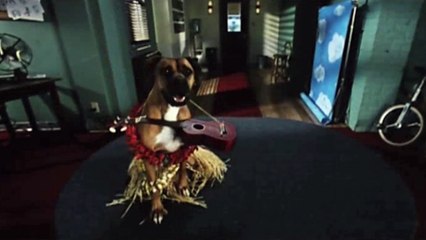 Les 101 Dalmatiens - VF