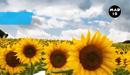 Top 10 Best Travel Agencies In Delhi