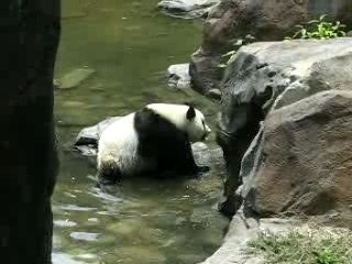 More of Tai's soaker  335