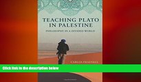 different   Teaching Plato in Palestine: Philosophy in a Divided World