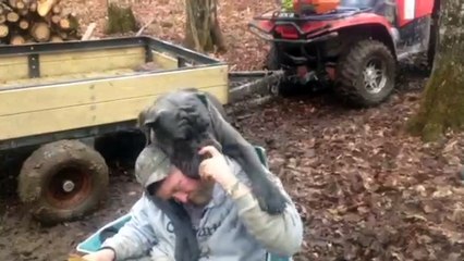 Ну возьми меня на ручки. Смешные приколы собаки