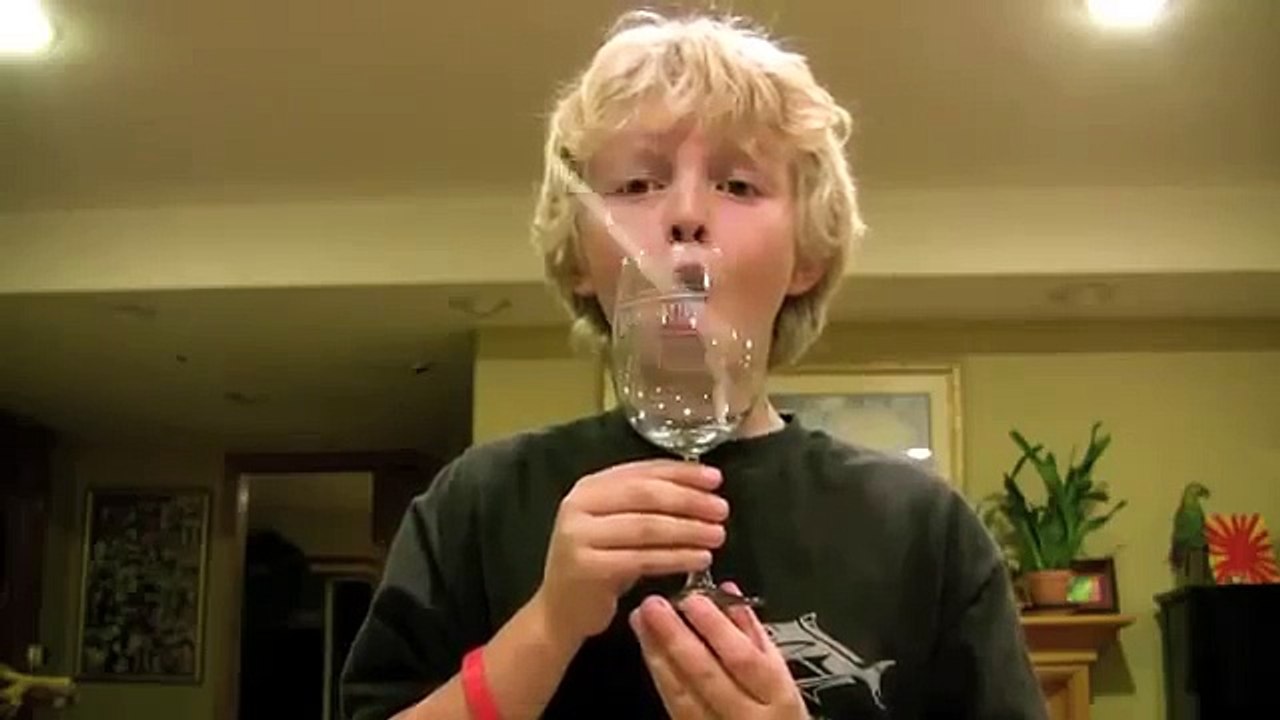 Boy Breaks Wine Glass with Voice   2016