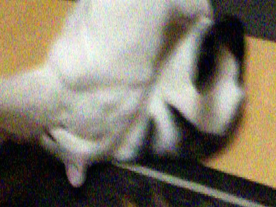 Harvey und Vinzent am 11.08.2016