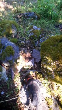 maya 1er piste 2 mois