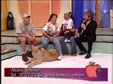 Un león atacó a un bebé durante un programa de tv en vivo