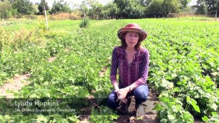 Lynda Hopkins on Agriculture