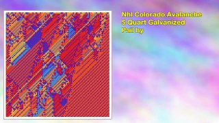 Nhl Colorado Avalanche 5 Quart Galvanized Pail by
