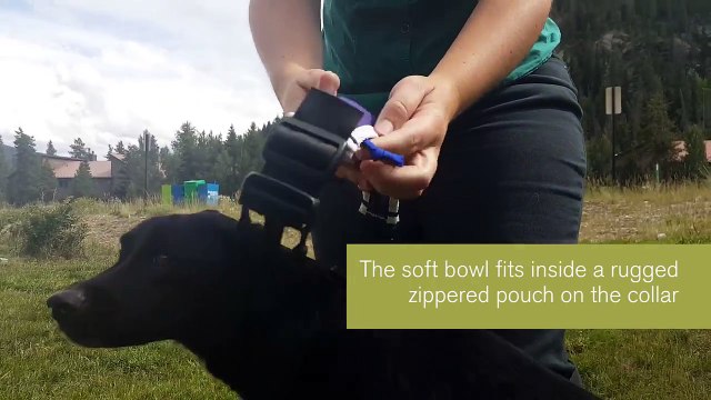 High Gear: The Grrowler by Rocky Mountain Underground