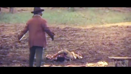 Buffalo Bill Et Les Indiens VF - Ext