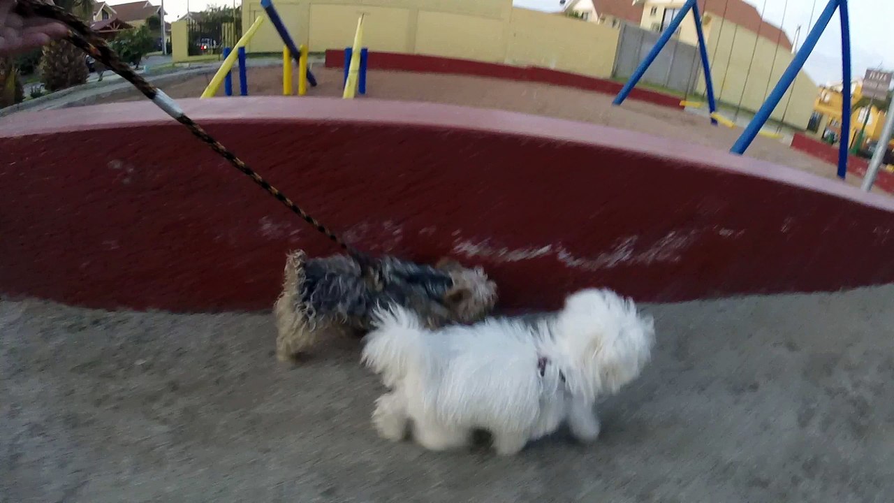 Paseo Perrhijos