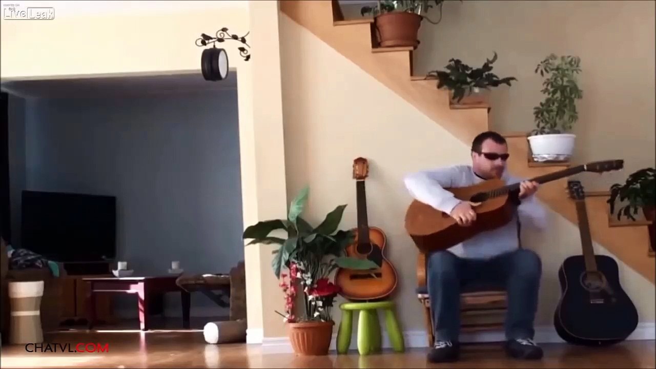 Thug Life - Ultimate Cats Thug Life Compilation - Funny videos