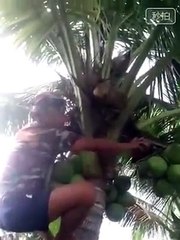 whatsapp funny video| All Rounder||