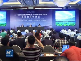 China to play crucial role at G20: expert