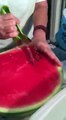 Great Watermelon Slicer Server Slice Right with Melon Baller and Fruit Carving Knife for a party