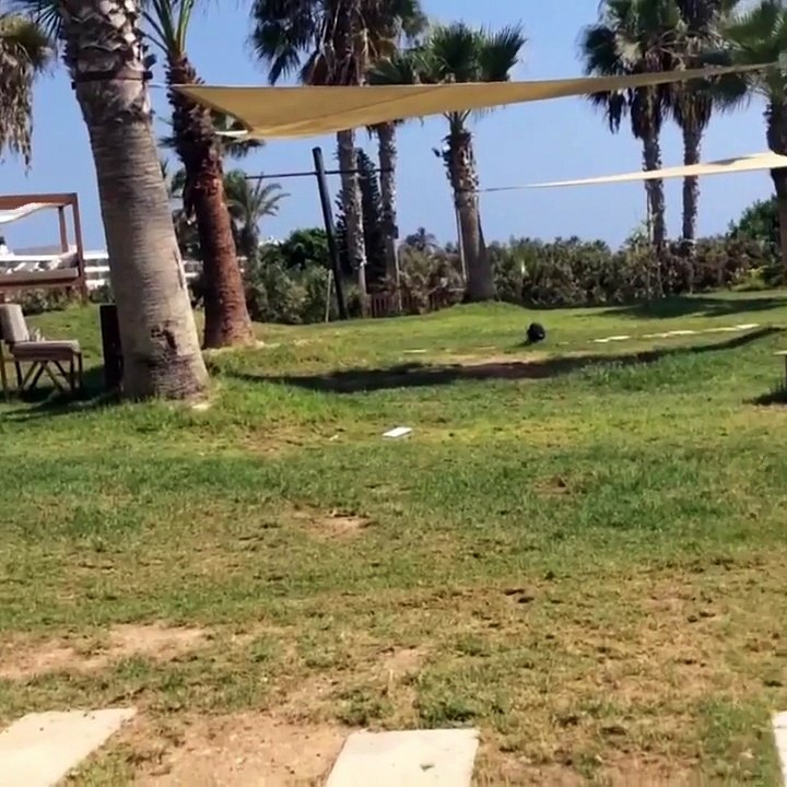 #paphos beach,Cyprus