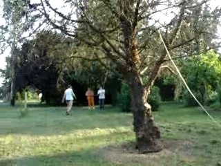 Timber ! 01 Buzet 15juillet07