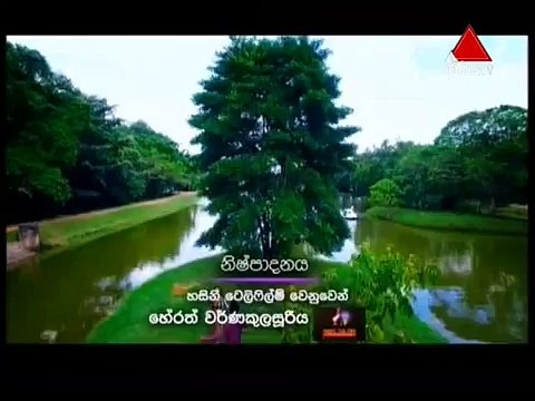 Adare Suwanda Aran 11th August 2016