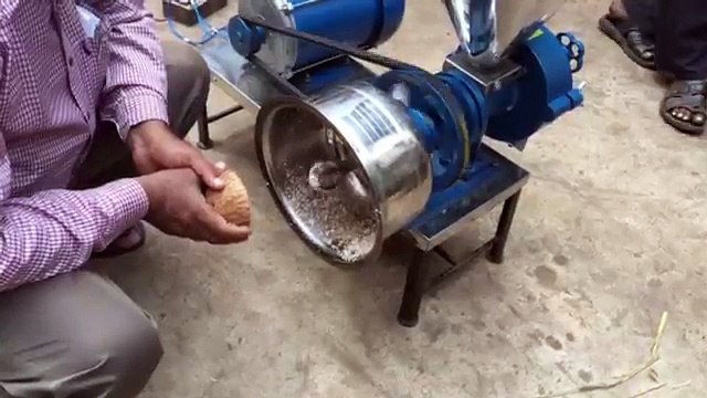 Grinder with coconut scrapper