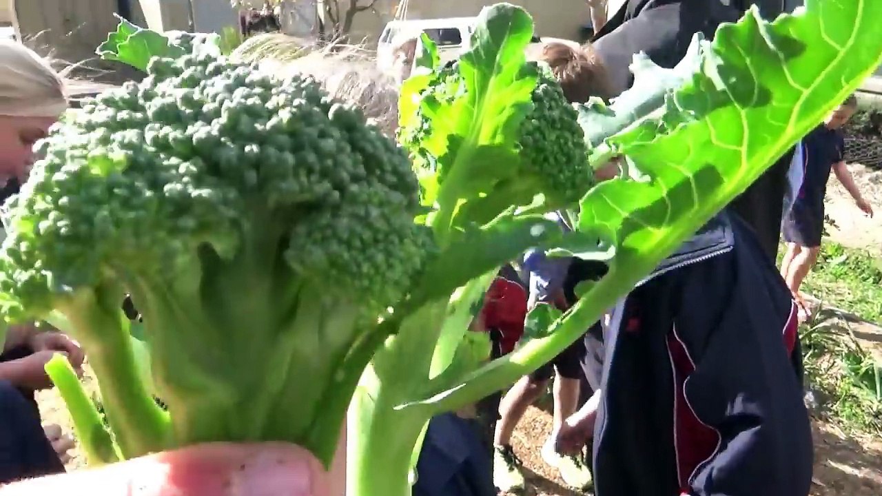 IN THE GARDEN AT LUMEN