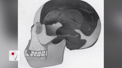 Mystery of One of Science's Most Notorious Hoaxes Finally Solved