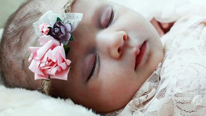 Newborn Photographer