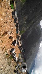 what happen after Monster Honey Bee Hive cut out