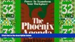 Big Deals  The Phoenix Agenda: Power to Transform Your Workplace  Free Full Read Best Seller