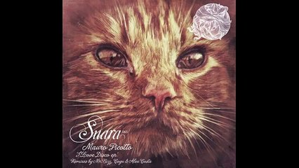 Mauro Picotto - I Love Disco (Mr. Bizz Remix) [Suara]