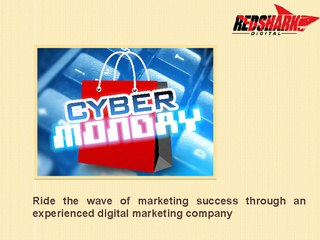 Red Shark Digital - Best Digital Agency Based in Raleigh NC