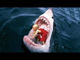 World's Most Amazing Videos Of The World