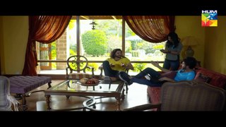 Udaari Episode 4 HD Full Hum TV Drama 01 May 2016