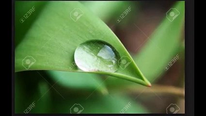 Custom Built Website Delray Beach