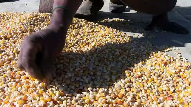 Sécheresse au Lesotho