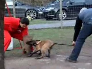 Furax leus chapellois - clips training