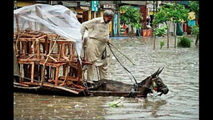 Pakistani Funny Videos  -- Funny Videos Compilation -- Pakistan Funny