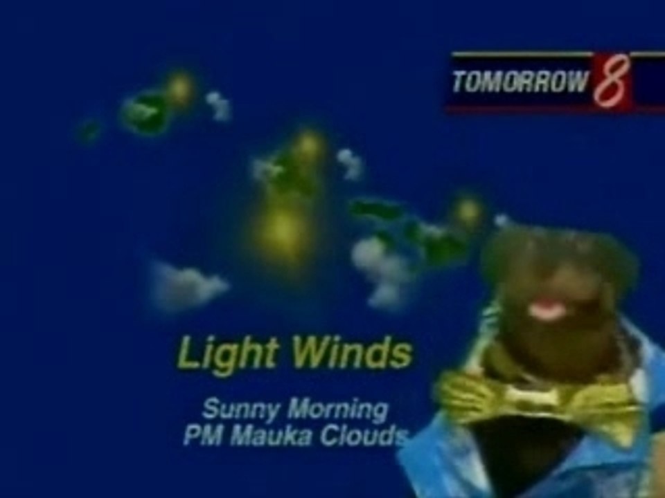 Triumph the insult comic dog - Hawaii weather