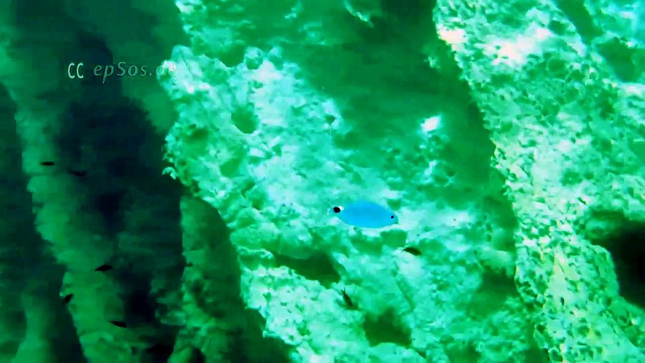 beautiful looks deep of  Mediterranean Sea