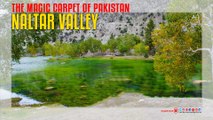 Naltar Valley Journey