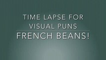 Time Lapse for Final Assignment - French Beans